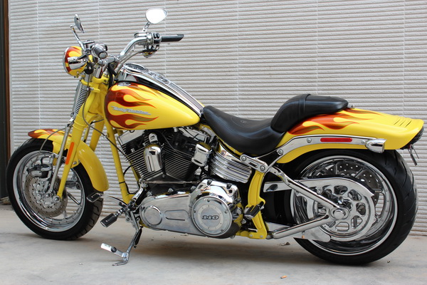 2009 HARLEY-DAVIDSON 尖叫老鹰 限量版 大弹簧 110CI 到货 图片 1