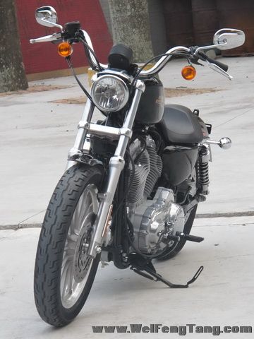 新到2008年款哈雷-戴维森 XL883 L版黑色 Sportster 883 Low - XL883L图片 2