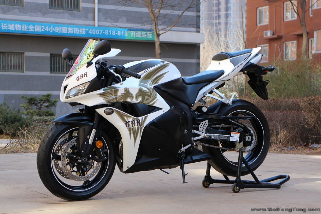 2009年CBR版画 本田CBR600 图片 2