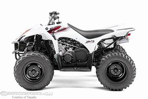 2010款雅马哈Wolverine 450 Auto, 4x4